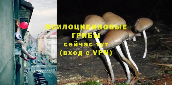 СК Баксан