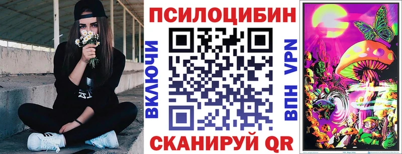 Псилоцибиновые грибы мицелий  Гвардейск 